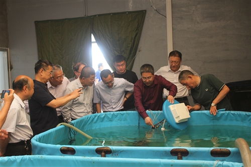 智能化養(yǎng)殖裝備與智慧管理平臺開發(fā)成果通過驗收，助推海水養(yǎng)殖技術(shù)研發(fā)升級