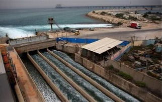 從“陸稻”到“海稻” 中國科學家以創(chuàng)新養(yǎng)殖技術布局全球海洋