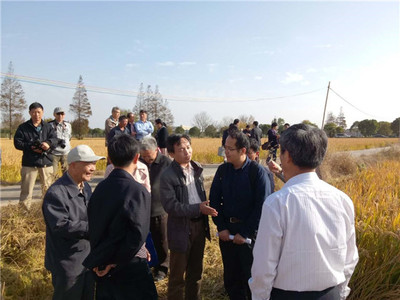 發(fā)揮學(xué)科優(yōu)勢，助力崇明建設(shè)——化分學(xué)院分析-物化聯(lián)合黨支部“主題黨日”活動(dòng)聚焦海水養(yǎng)殖技術(shù)研發(fā)