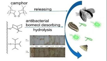國家海洋設(shè)施養(yǎng)殖工程技術(shù)研究中心碩士研究生招生 聚焦海水養(yǎng)殖技術(shù)研發(fā)